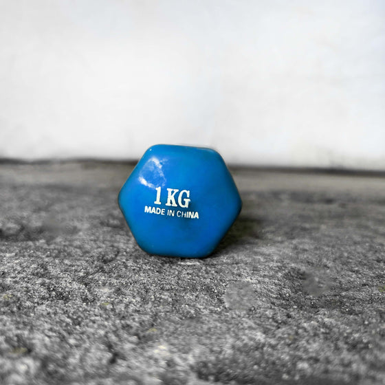 Used Vinyl Dumbbells - 1 kg
