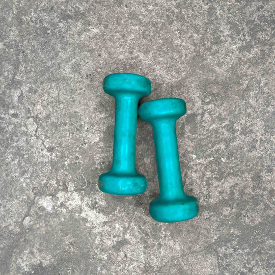 Used Vinyl Dumbbells - 2 lbs
