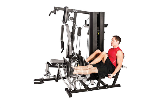 Torus Multi-Gym 5