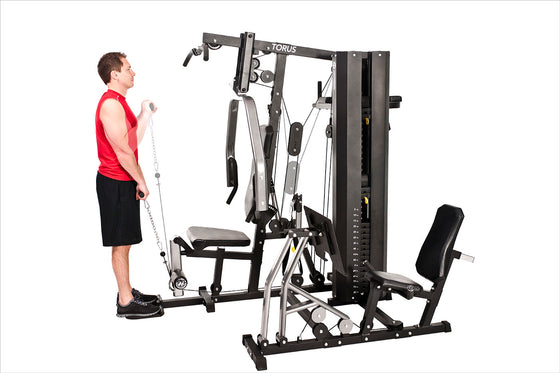 Torus Multi-Gym 5