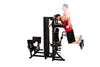 Torus Multi-Gym 5